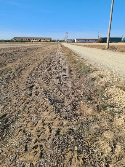 Teren de 66400 mp, în Biharia