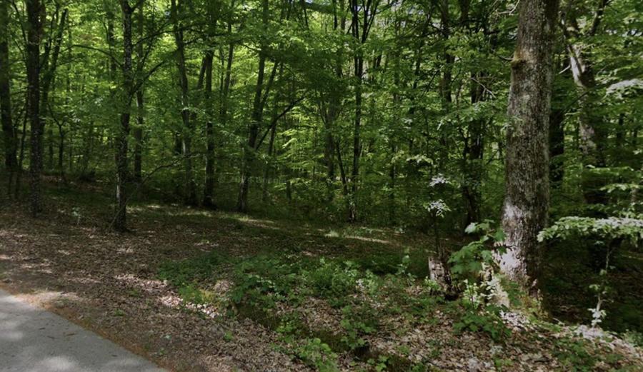 Teren extravilan de 4480 mp, în Lăzăreni