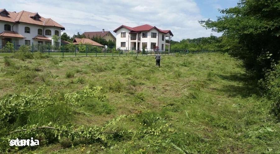 Teren de 3676 mp, în Păulești
