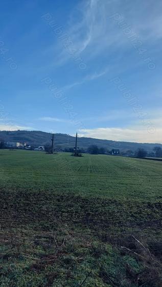 Teren de 4730 mp, în Boldești