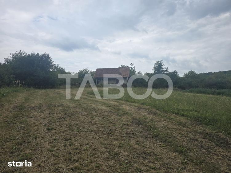 Teren de 8700 mp, în Șura Mare