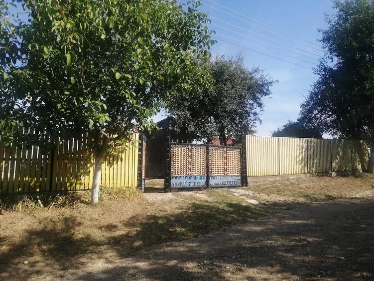Casă cu 3 camere cu Teren 5000 Mp în Dienci