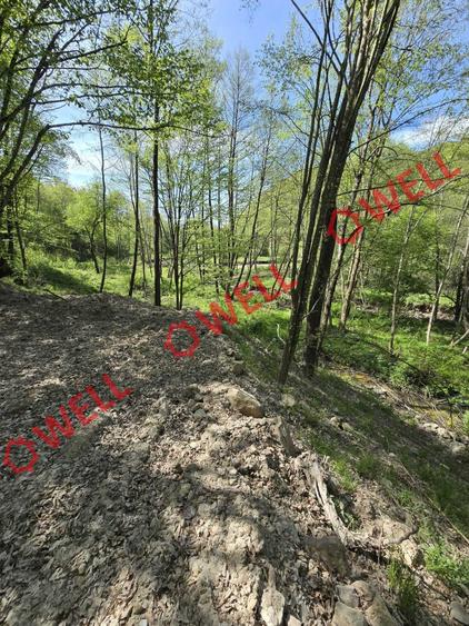 Teren extravilan de 5600 mp, în Filia