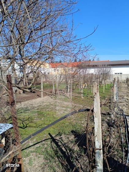 Casă cu 4 camere cu Teren 210 Mp în Iosefin