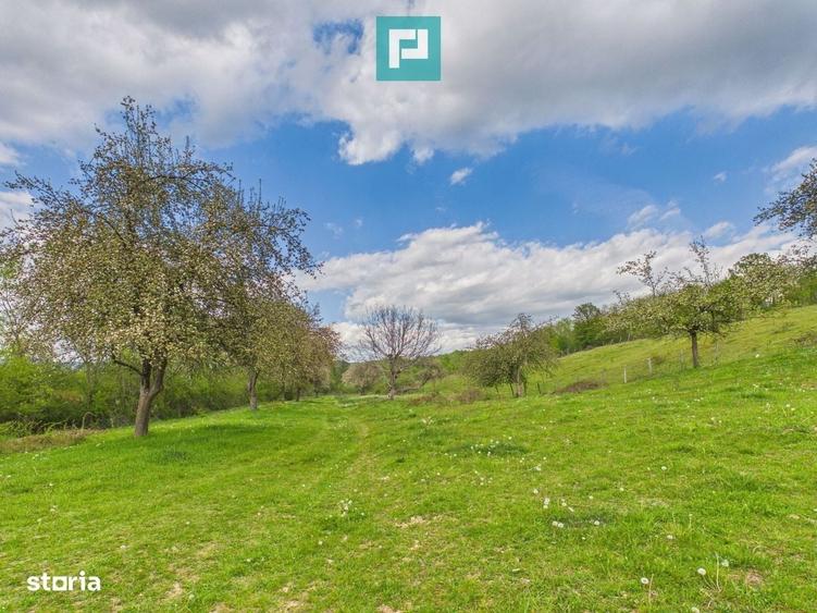 Casă cu 2 camere cu Teren 17681 Mp în Almaș