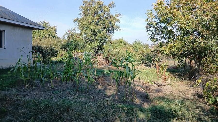Teren de 650 mp, în Barați