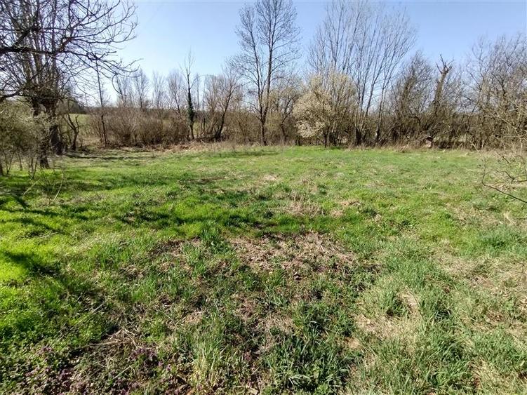 Casă individuală cu 8 camere cu Teren 3800 Mp în Răchitova