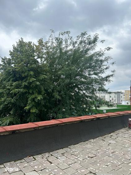 Garsoniera modernizata, 41.4 mp,50m de Metrou Orizont Bd. Timi?oarei - 8