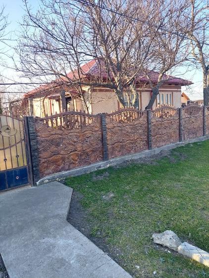 Casa de vanzare Pogoanele, jude?ul Buzau - 10