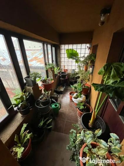 Casă cu 3 camere cu Teren 400 Mp în Malu Roșu