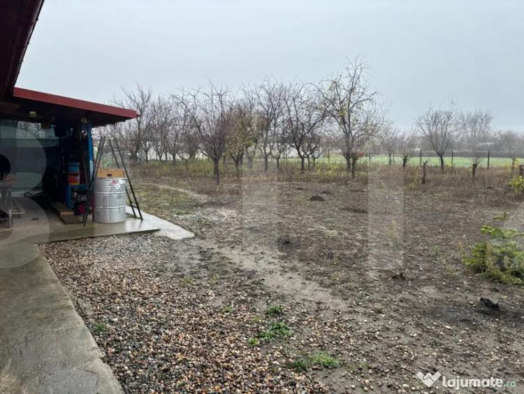 Casă cu 3 camere cu Teren 1400 Mp în Iratoșu