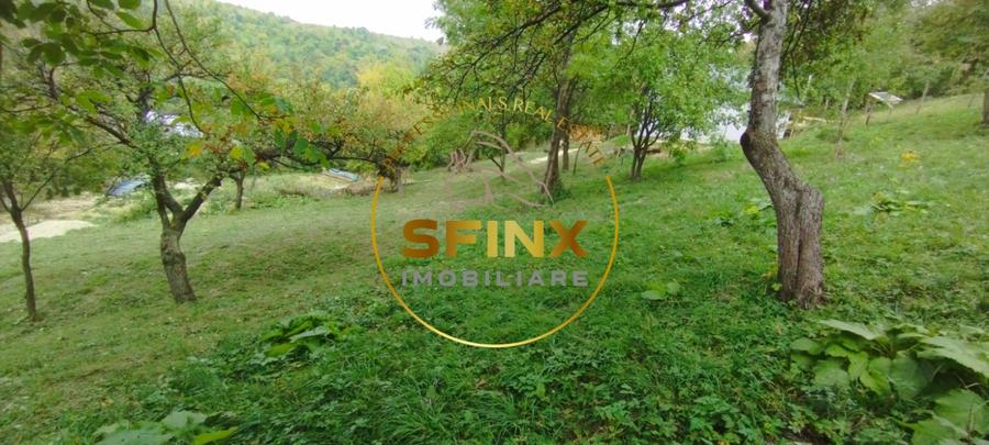 Teren Construcții intravilan de 2960 mp, în Poiana Ciurii