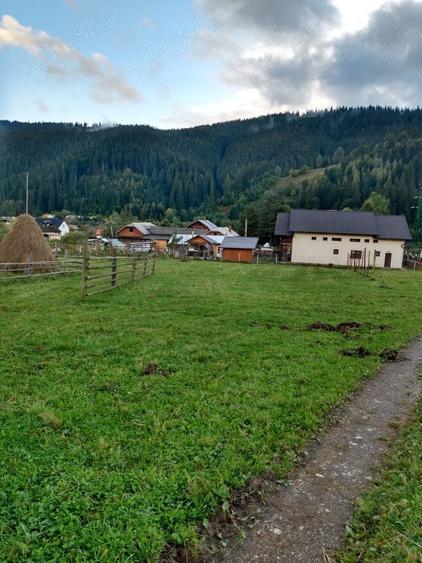 Teren de 2000 mp, în Central