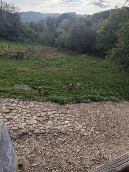 Casă cu 3 camere în Provița de Jos