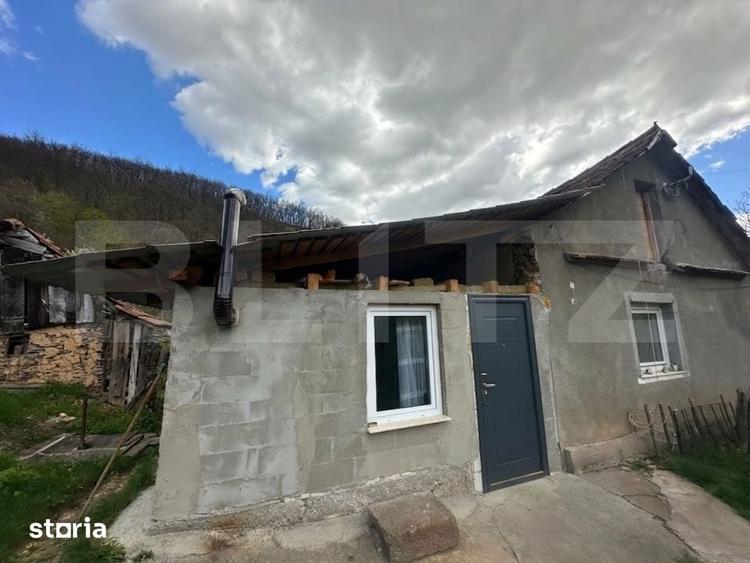 Casă cu 4 camere cu Teren 12186 Mp în Rapoltu Mare