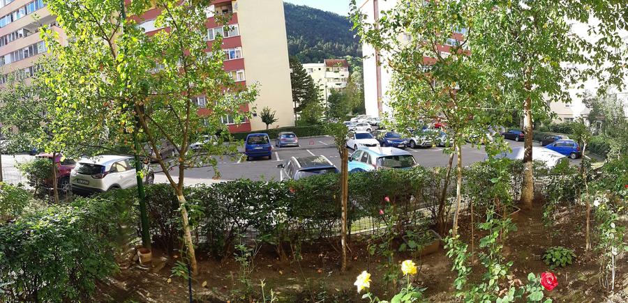 Apartament cu 2 camere decomandat în Drumul Carului