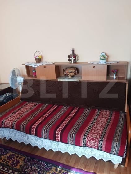 Casă individuală cu 2 camere cu Teren 3800 Mp în Brad