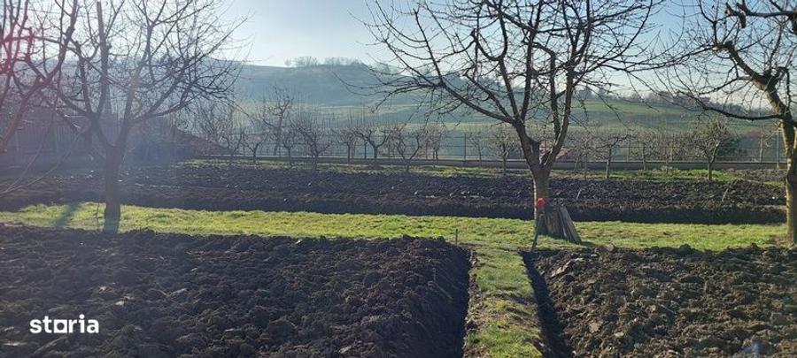 Teren de 650 mp, în Crăciunești