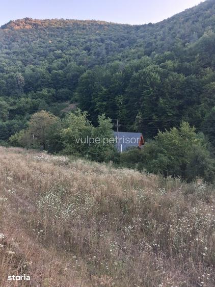 Teren rural de vanzare cu utilita?i disponibile