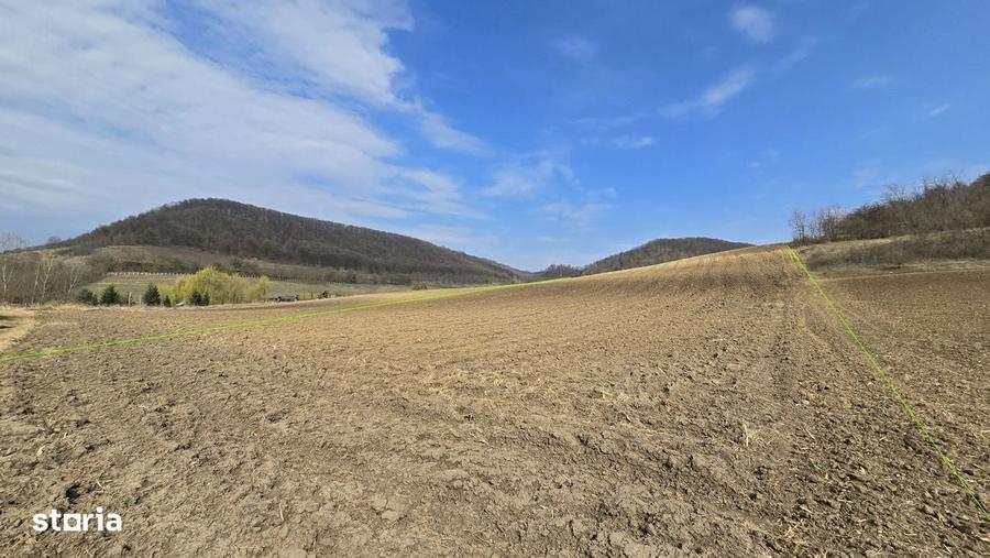 Teren de 7000 mp, în Hoghilag