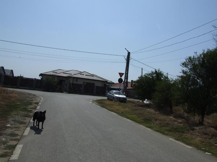 Teren Construcții intravilan de 6784 mp, în Domnești