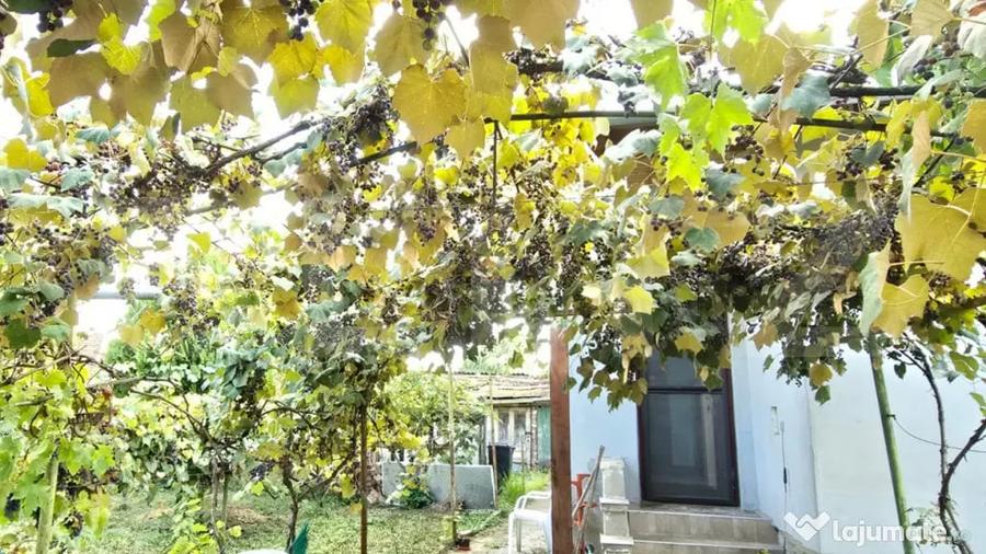 Casă cu 3 camere cu Teren 338 Mp în Nord