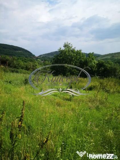 Ciurila, teren 773 mp cu autorizatie de construire - Ciurila (Cluj) - 11