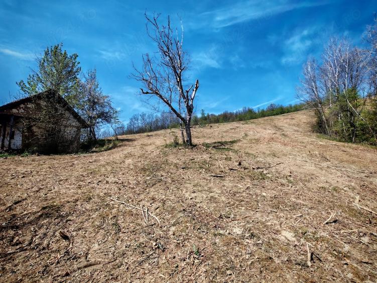 Teren de 55000 mp, în Bârzava