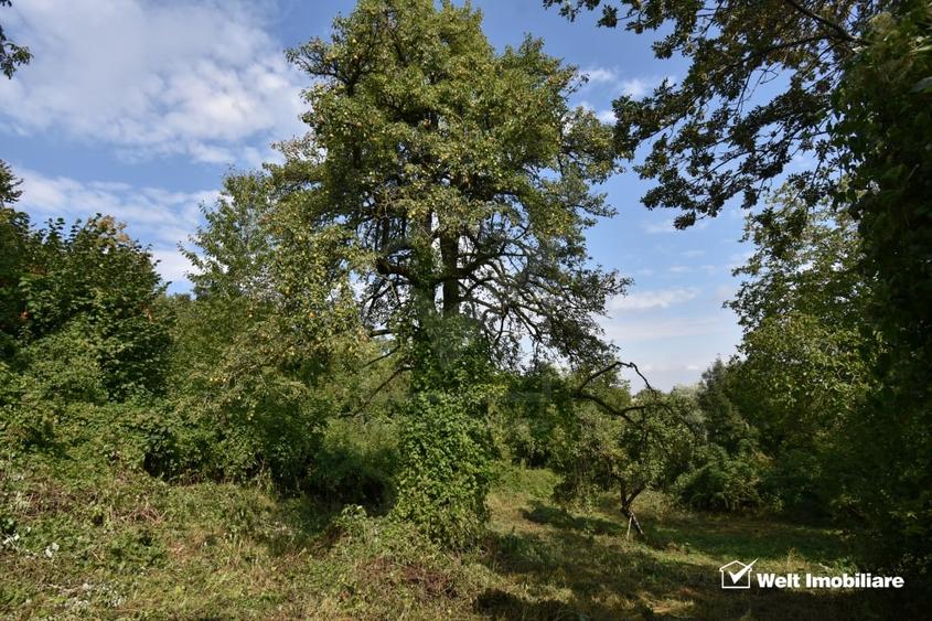 Casă individuală cu 2 camere cu Teren 1547 Mp în Gheorghieni