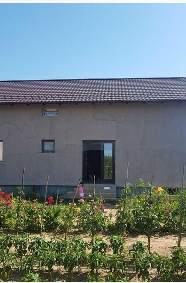 Casă cu 4 camere în Dumbrava