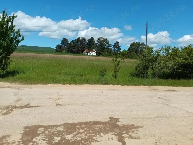 Teren de 2200 mp, în Valea Crișului