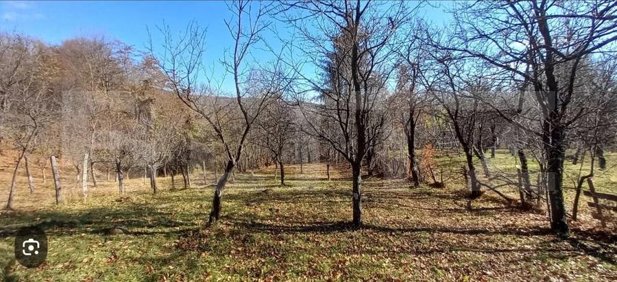 Teren agricol extravilan de 29863 mp, în Pucheni