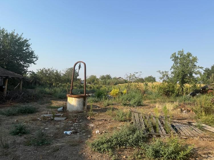 Teren intravilan 2.400 mp in Bailesti 24 m deschidere la strada - 7