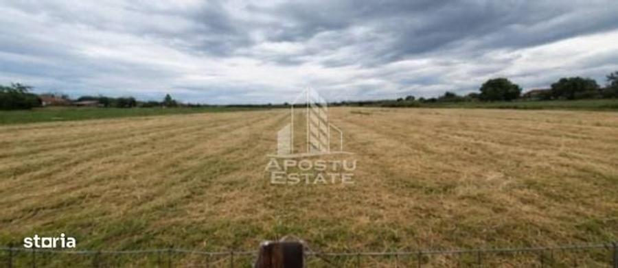 Casa 133 mp utili, teren 2972 mp, la 30 min de Timisoara - 1