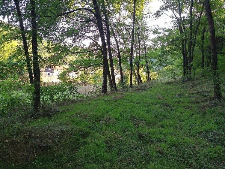 Vand teren Pacuraru - 4