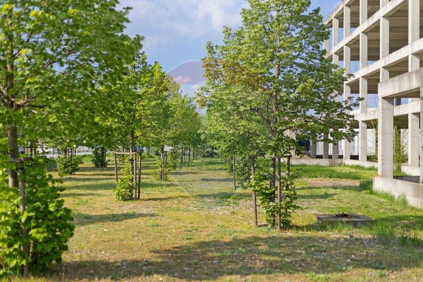 Teren Construcții intravilan de 3754 mp, în Aradul Nou