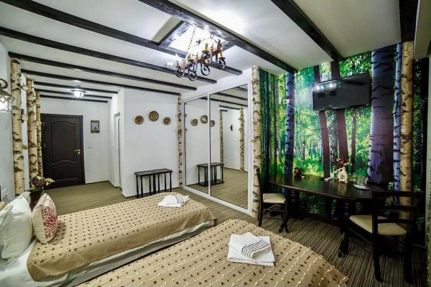 Hotel/Pensiune, de 1,200 mp, în Bogdan Vodă
