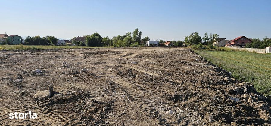 Teren de 6600 mp, în Hărăului