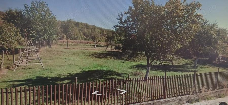 Teren de 1248 mp, în Albești