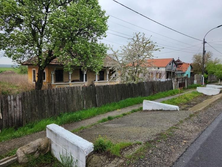 Casă cu 3 camere în Rogova