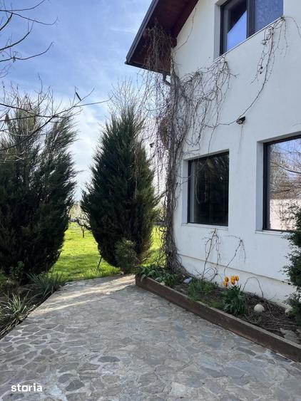 Casă cu 6 camere cu Teren 1416 Mp în Ciulnița
