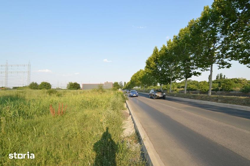 Teren de 5000 mp, în Văcăresti