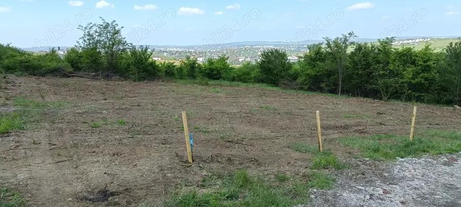 Teren de 100 mp, în Vișan