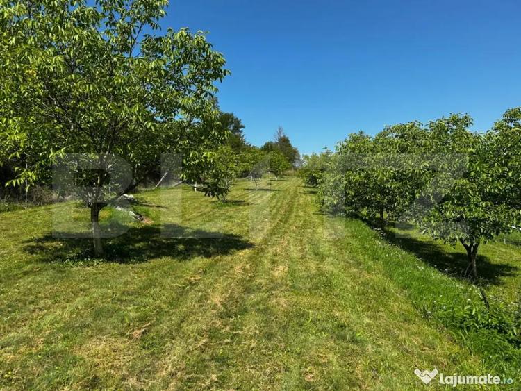 Teren deosebit de vanzare 1800 mp, Cheile Vali?oarei - 7
