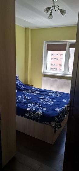 Apartament 2 camere TEIUL DOAMNEI - 4