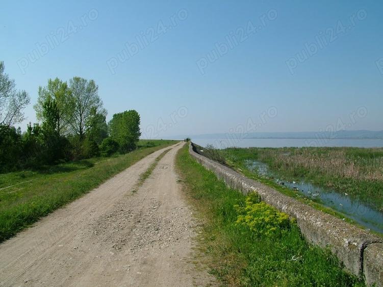 Teren de 8000 mp, în Drăgoești