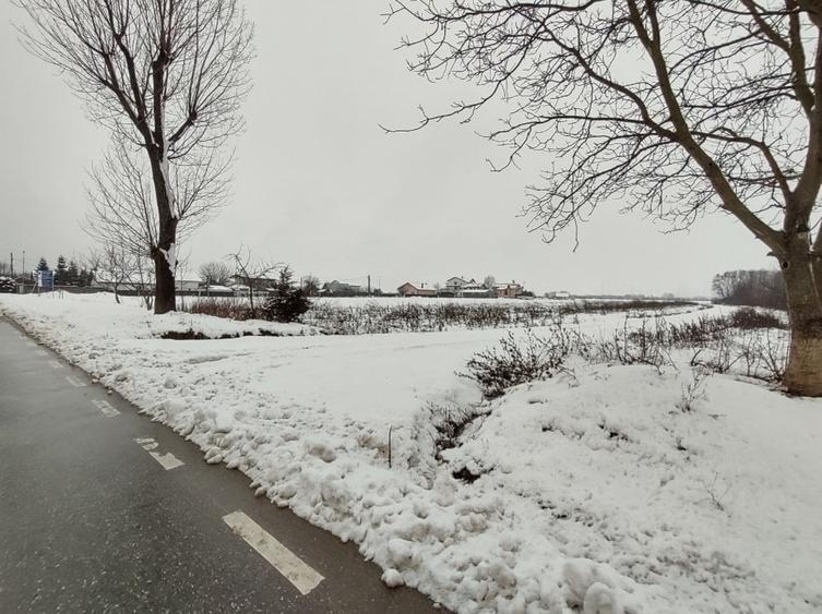 Teren Construcții intravilan de 100000 mp, în Ciolpani