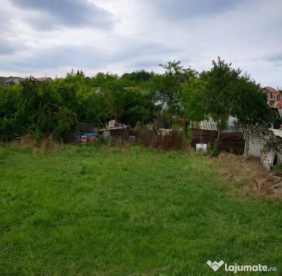Teren intravilan 1.000 mp Butimanu, Dambovi?a, 24 ml d - 1