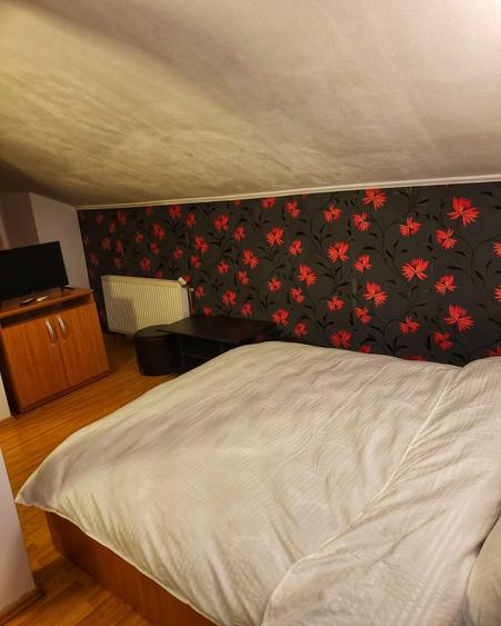 Apartament cu 2 camere în Bușteni