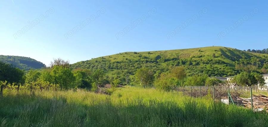 Casă cu 3 camere cu Teren 2568 Mp în Luna